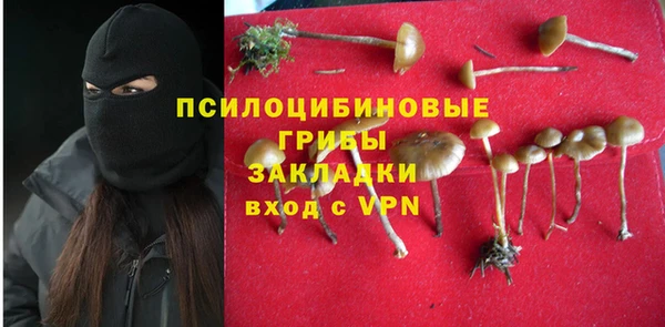 молекула духа Армянск