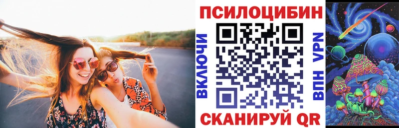 гидра зеркало  Сарапул  Псилоцибиновые грибы Psilocybe 